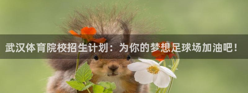 利记官方正版app官网：武汉体育院校招生计划：为你的