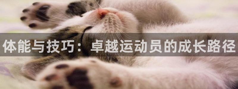 利记官网下载平台注册要钱吗：体能与技巧：卓越运动员的