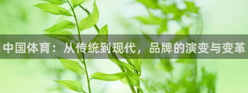利记官方正版app新能源：中国体育：从传统到现代，品