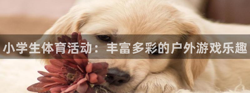 利记官网下载注册：小学生体育活动：丰富多彩的户外游戏