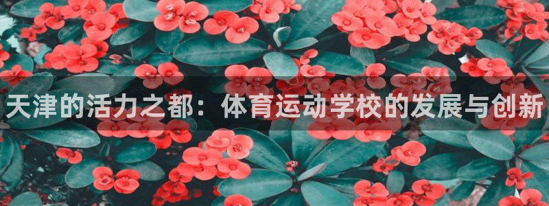 利记官网下载招商电话号码：天津的活力之都：体育运动学