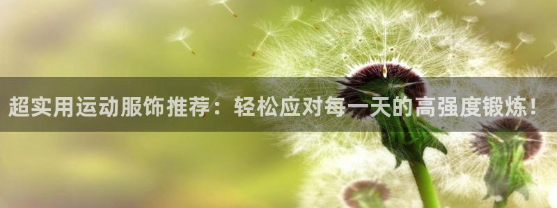 利记官方正版app官网：超实用运动服饰推荐：轻松应对每一天的
