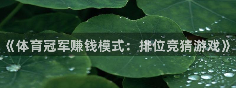 海南利记官网下载发展怎么样：《体育冠军赚钱模式：排位