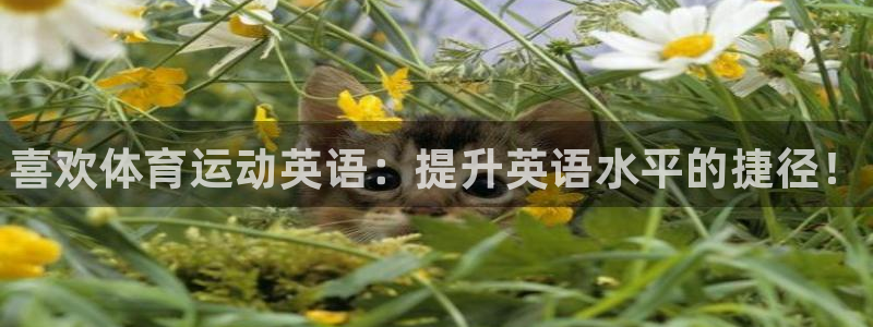 利记官网下载平台注册流程图：喜欢体育运动英语：提升英语水平的