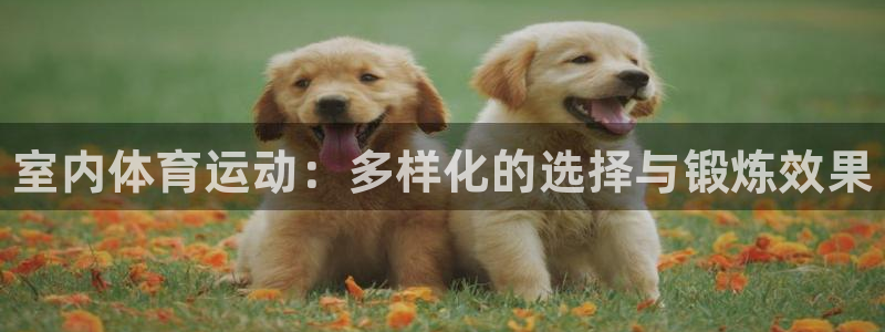 利记官方正版app集团官网网址：室内体育运动：多样化