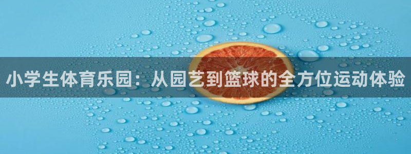 利记官方正版app娱乐网站：小学生体育乐园：从园艺到篮球的全