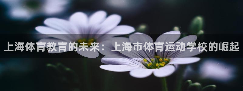 利记官方正版app集团官网首页：上海体育教育的未来：上海市体