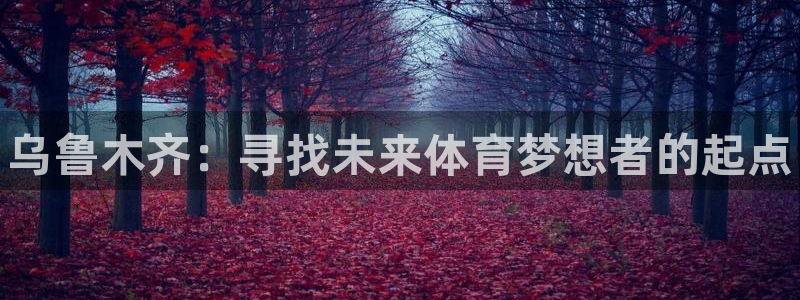 利记官网下载招商：乌鲁木齐：寻找未来体育梦想者的起点