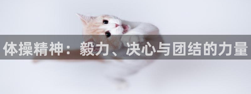 利记官网下载娱乐：体操精神：毅力、决心与团结的力量