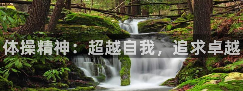 利记官网下载平台注册：体操精神：超越自我，追求卓越