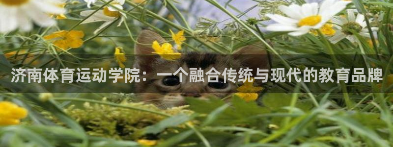 利记官网下载招商电话号码查询是多少：济南体育运动学院