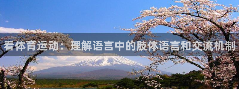 德国利记官方正版app集团：看体育运动：理解语言中的肢体语言