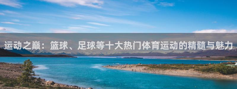 利记官网下载招商电话：运动之巅：篮球、足球等十大热门体育运动