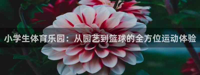 利记官方是什么