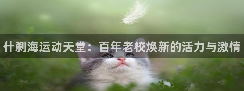 利记lk：什刹海运动天堂：百年老校焕新的活力与激情
