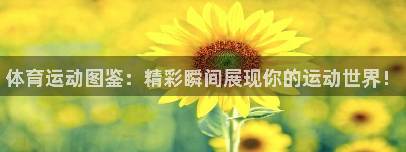 利记sbo：体育运动图鉴：精彩瞬间展现你的运动世界！