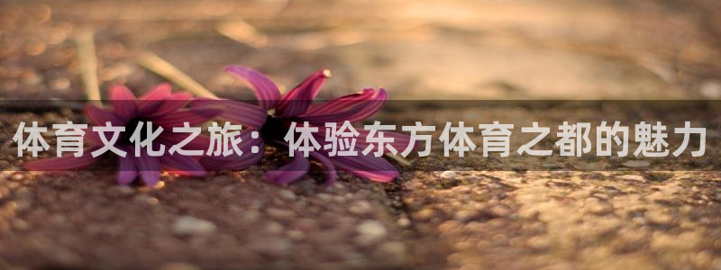  利记官网登录入口：体育文化之旅：体验东方体育之都的魅力