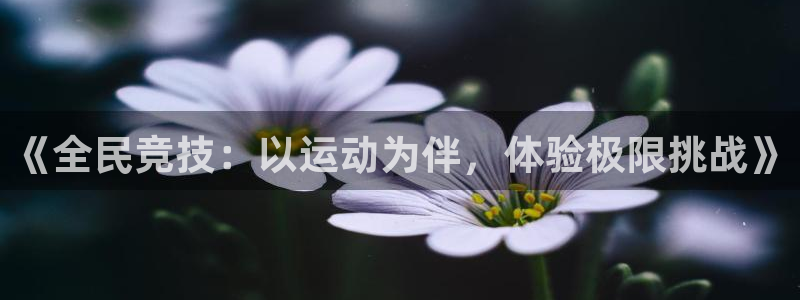 利记sbo：《全民竞技：以运动为伴，体验极限挑战》
