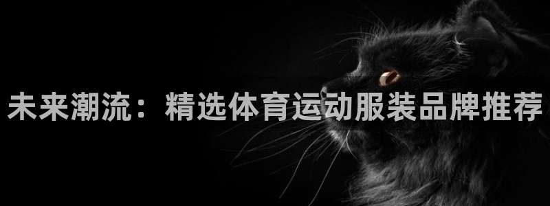  利记手机官网：未来潮流：精选体育运动服装品牌推荐