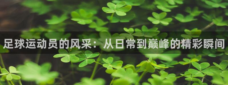  利记官网入口：足球运动员的风采：从日常到巅峰的精彩瞬间