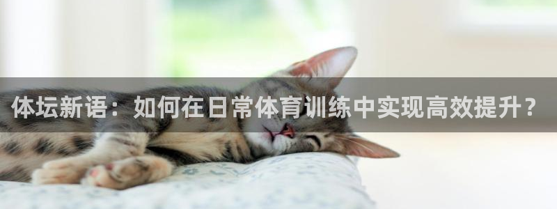  利记科技有限公司：体坛新语：如何在日常体育训练中实现高效提升