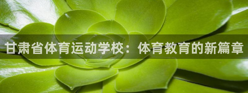 利记sbobet官方网站入口：甘肃省