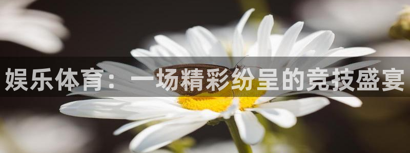  利记官网备用网址：娱乐体育：一场精彩纷呈的竞技盛宴