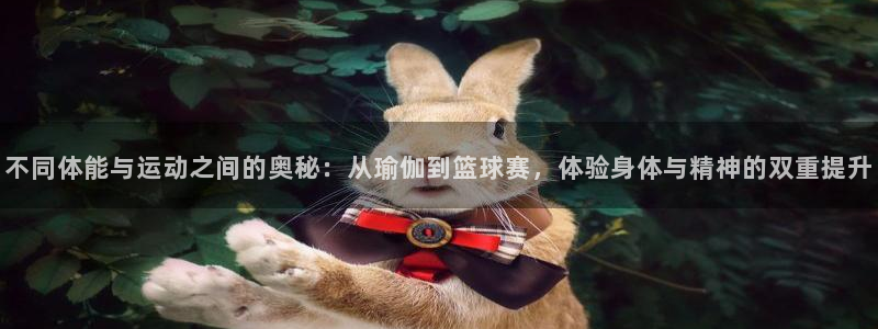  利记官网平台：不同体能与运动之间的奥秘：从瑜伽到篮球赛，体验