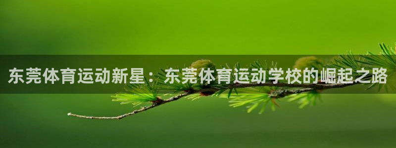  利记入口：东莞体育运动新星：东莞体育运动学校的崛起之路