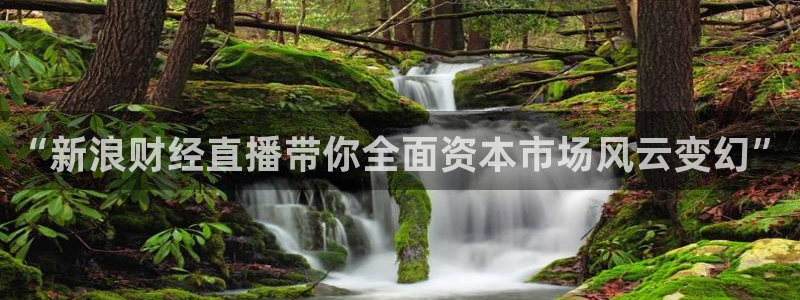 咪咕视频新版：“新浪财经直播带你全面资本市场风云变幻”