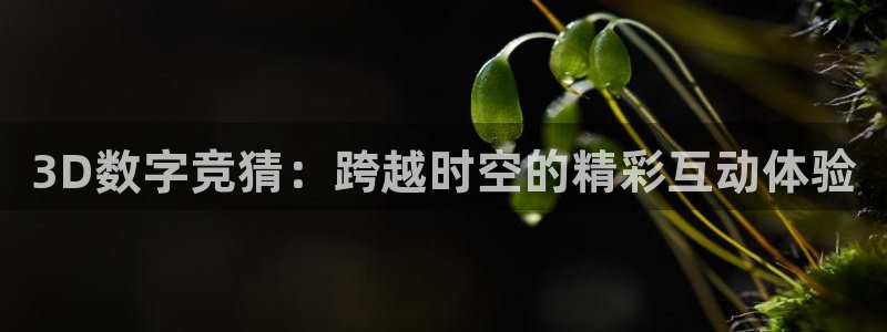 咪咕直播体育在线看：3D数字竞猜：跨越时空的精彩互动体验